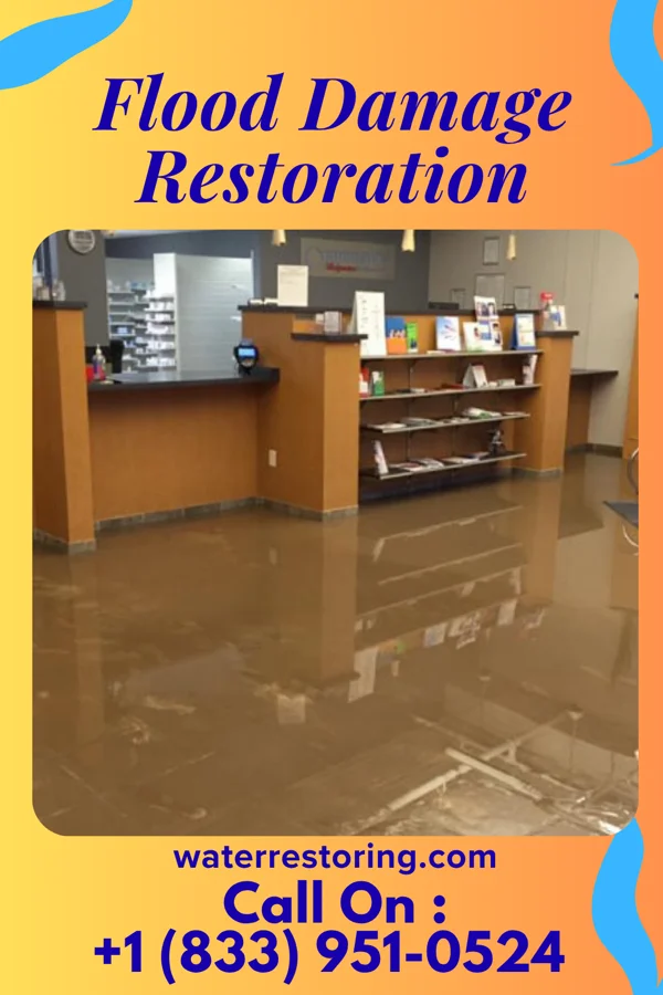 Flood Damage Restoration in Chattahoochee, FL